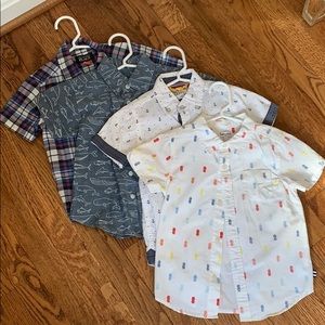Boys Button Down Shirts